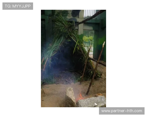 网坛最新动态：明星选手激战四大满贯赛场精彩瞬间揭秘